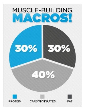 muscle-building-macros-infographic